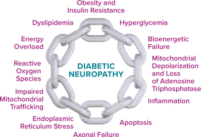 American Diabetes Association — Diagnosis And Treatment Of Painful ...